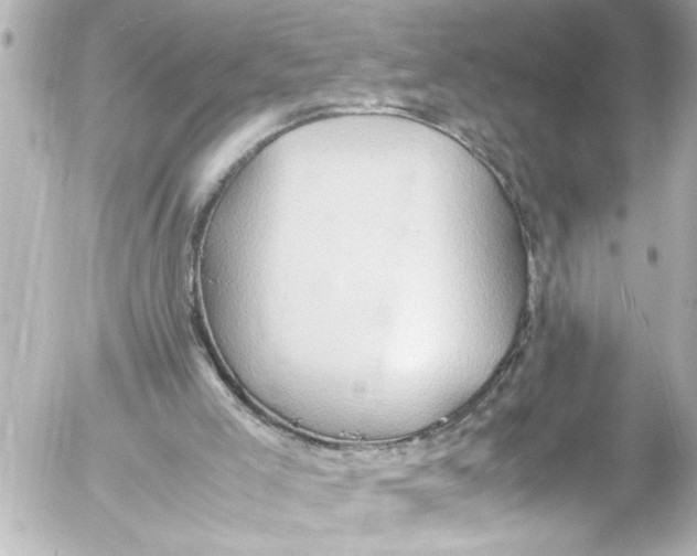 X0000054470005200508270141