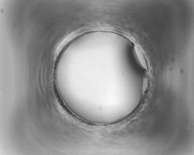 X0000054470007200508270141