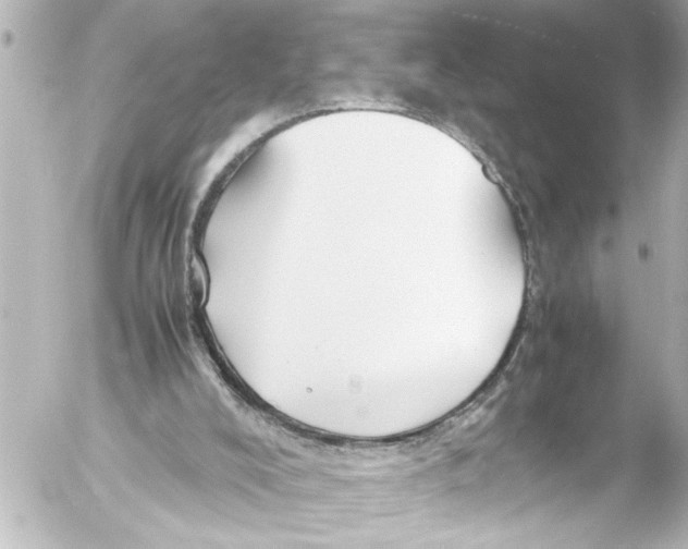 X0000054470008200508270141