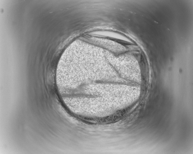 X0000054470009200508270141