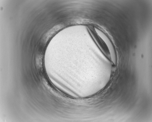 X0000054470010200508270141