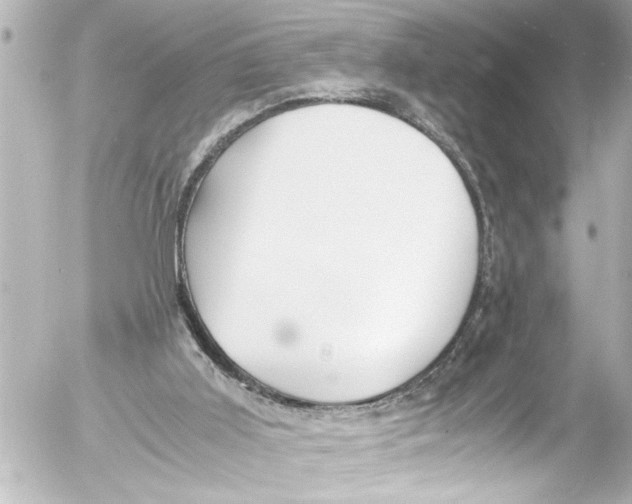 X0000054470011200508270141