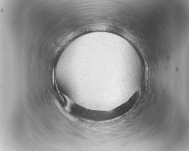 X0000054470013200508270141