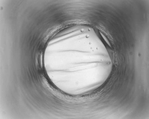 X0000054470014200508270141