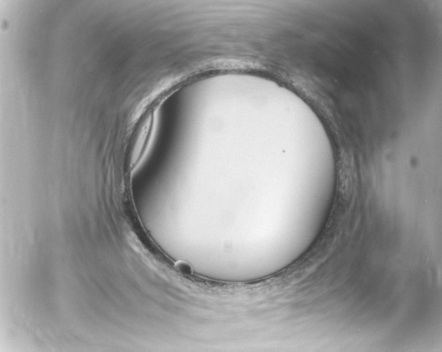 X0000054470015200508270141