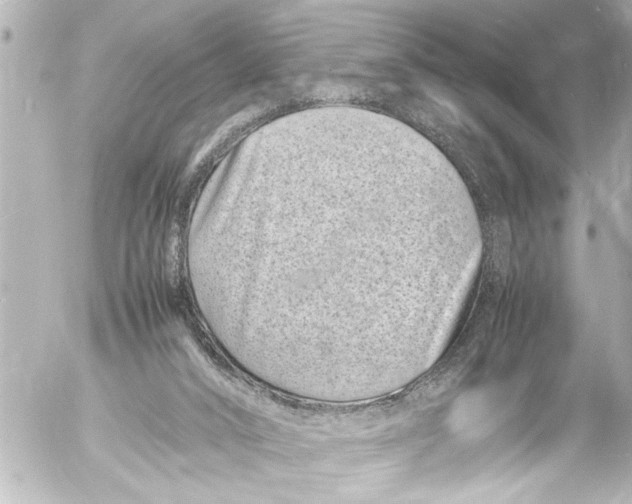 X0000054470016200508270141