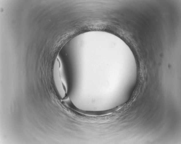 X0000054470017200508270141