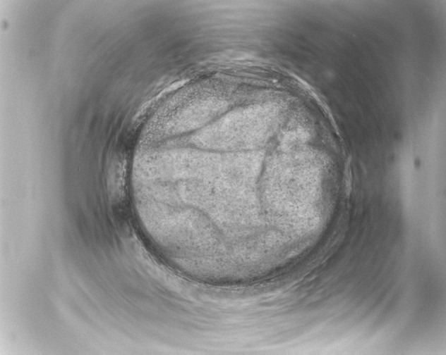 X0000054470018200508270141