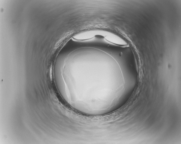 X0000054470019200508270141