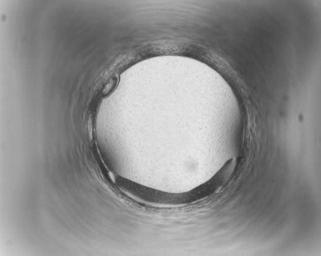 X0000054470021200508270141