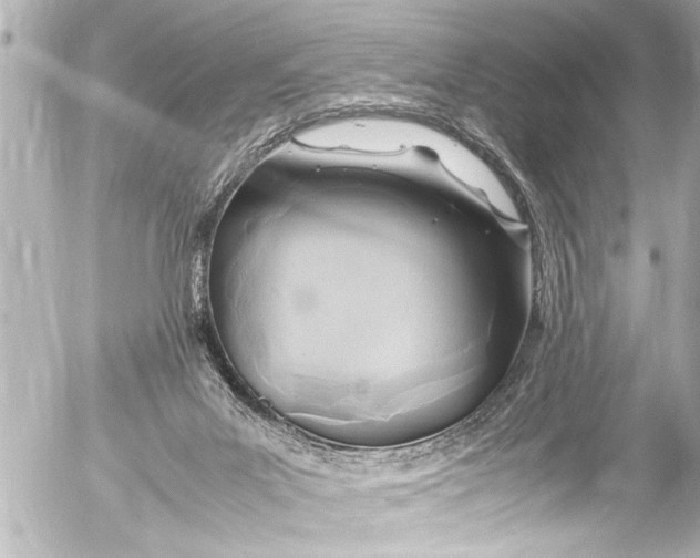 X0000054470023200508270141