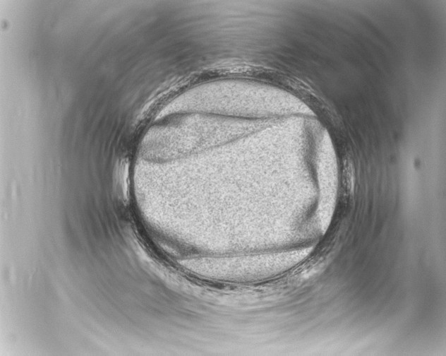 X0000054470024200508270141