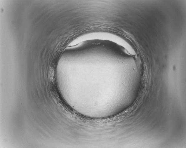 X0000054470025200508270141