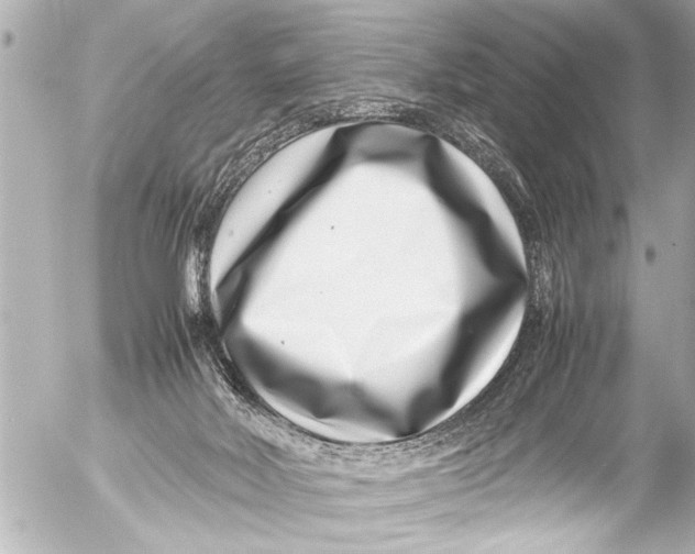 X0000054470026200508270141