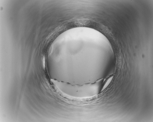 X0000054470027200508270141