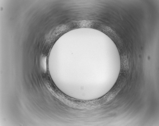 X0000054470028200508270141