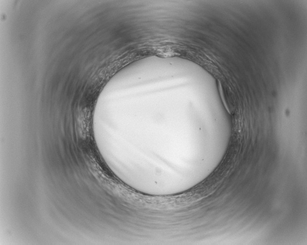 X0000054470030200508270140