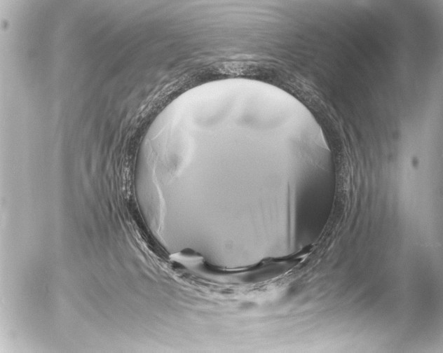 X0000054470031200508270140