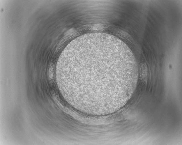 X0000054470032200508270140