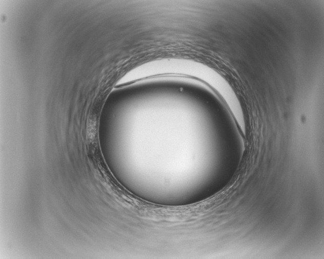 X0000054470033200508270140