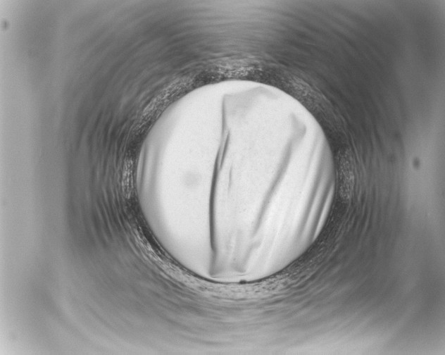 X0000054470034200508270140