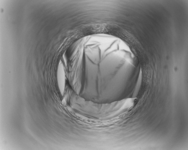 X0000054470035200508270140