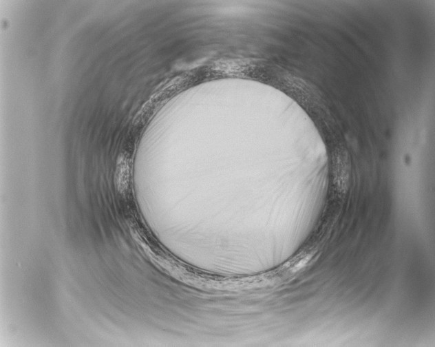 X0000054470036200508270140