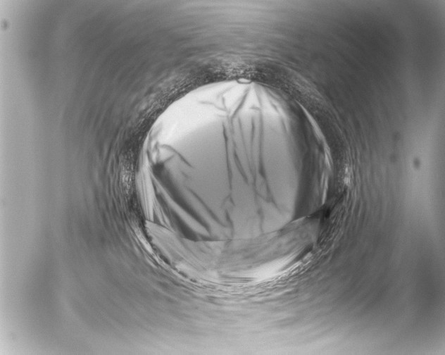 X0000054470039200508270140