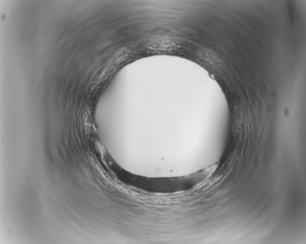 X0000054470040200508270140