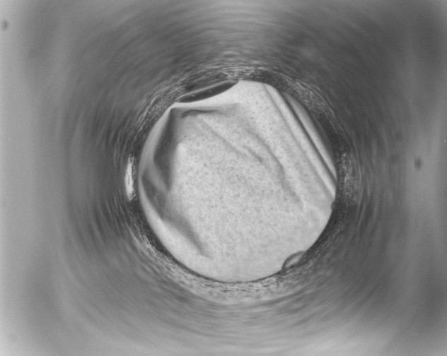 X0000054470042200508270140