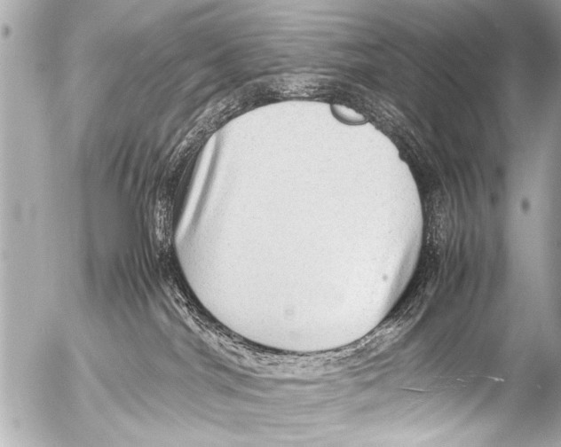 X0000054470044200508270140