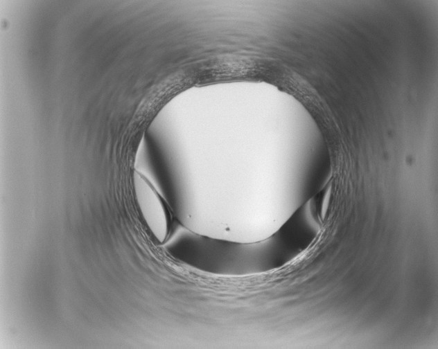 X0000054470045200508270140