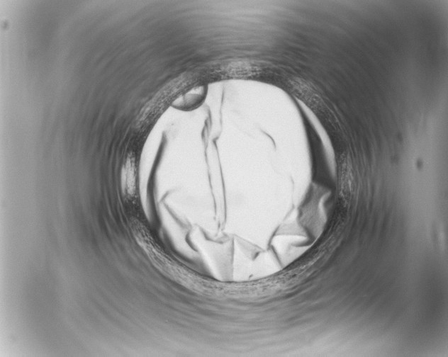 X0000054470046200508270140