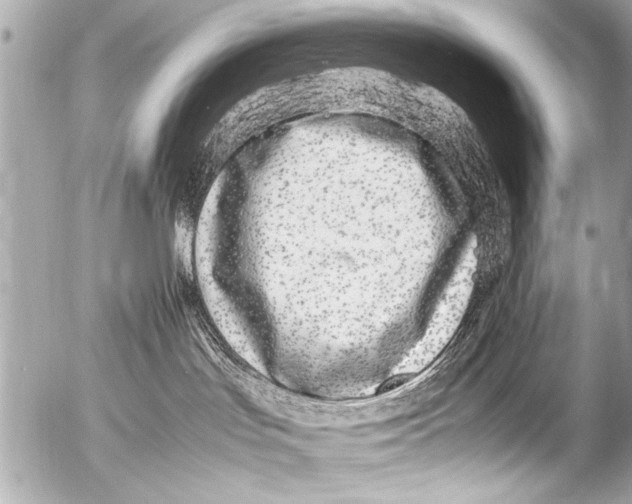 X0000054470047200508270140