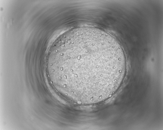 X0000054470049200508270139