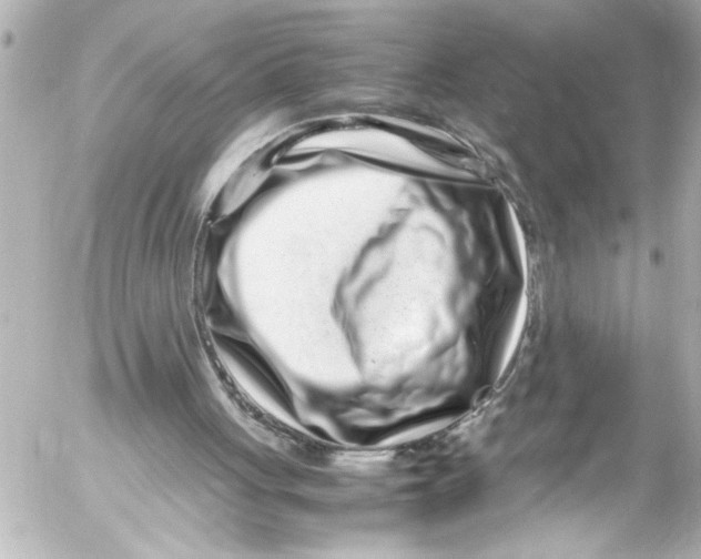 X0000054470051200508270139