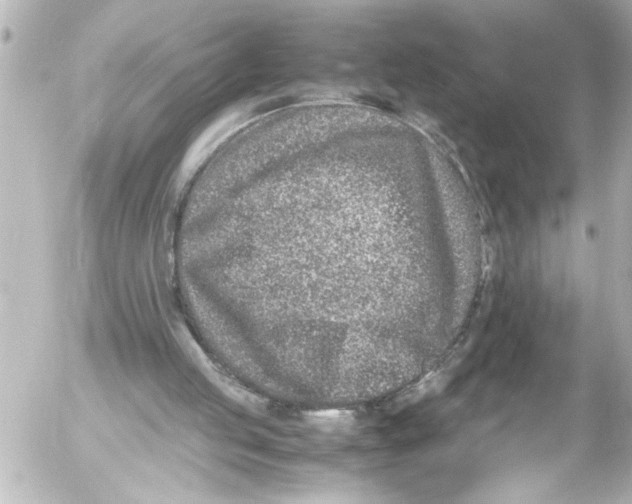 X0000054470053200508270139