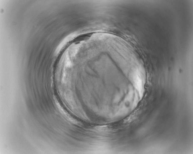 X0000054470054200508270139