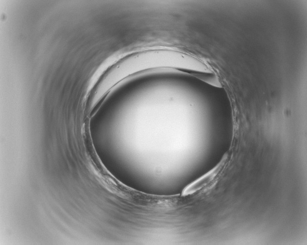 X0000054470056200508270140