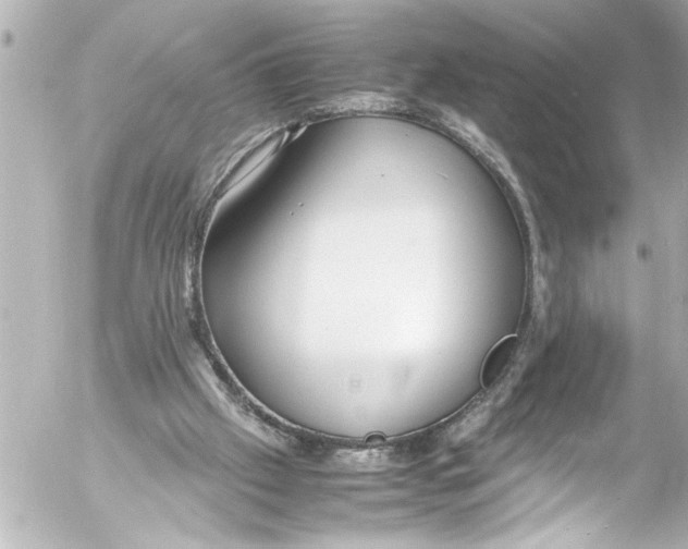 X0000054470057200508270140