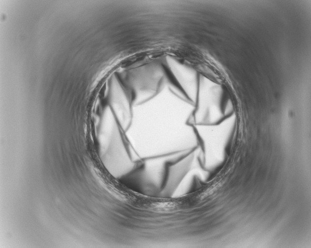 X0000054470059200508270140