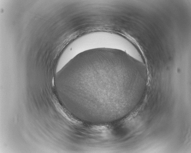 X0000054470061200508270140