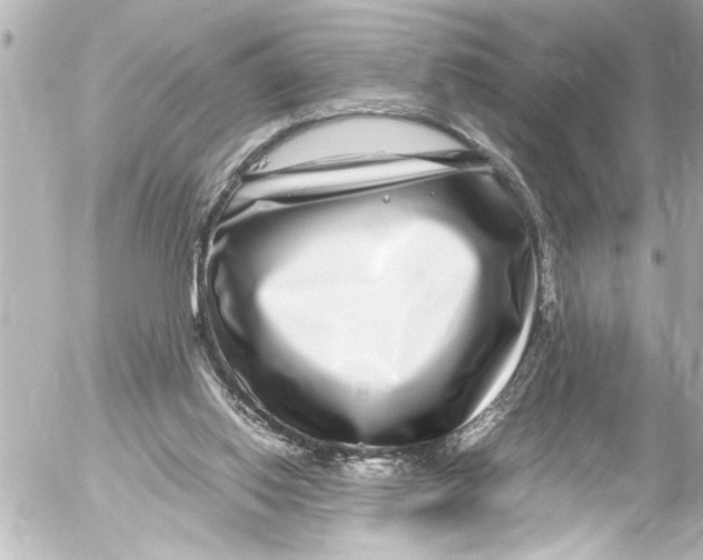 X0000054470062200508270140