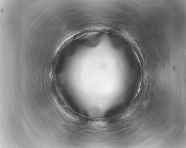 X0000054470063200508270140