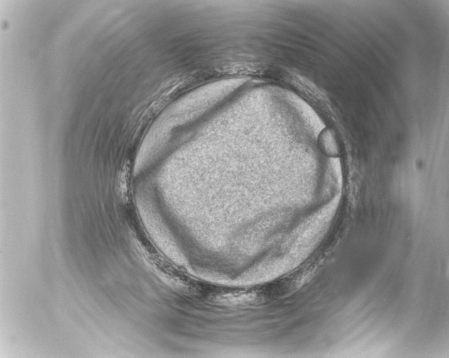 X0000054470065200508270140