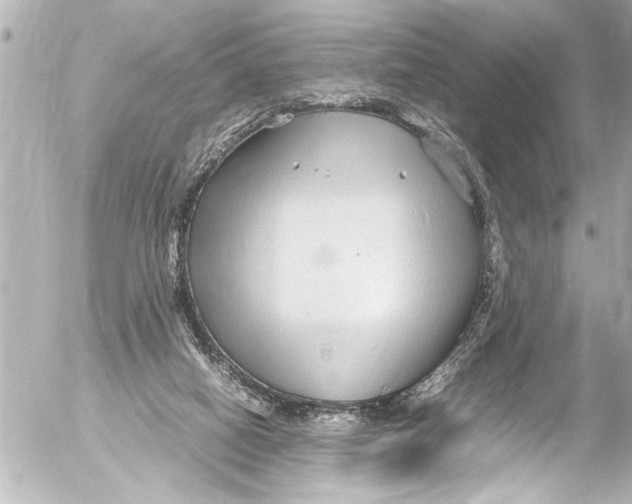 X0000054470066200508270140