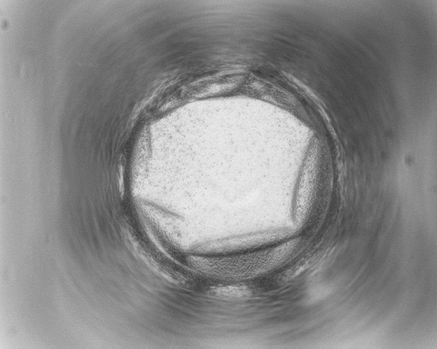 X0000054470067200508270140