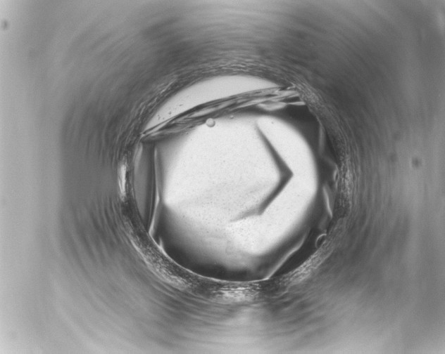 X0000054470070200508270140