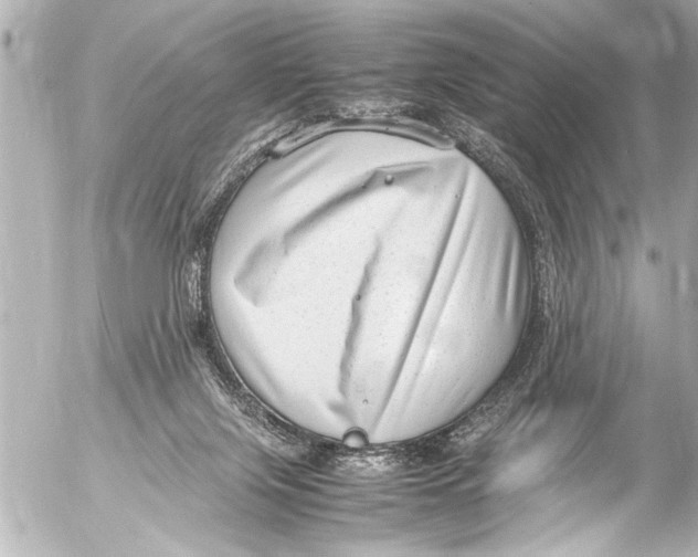 X0000054470071200508270140