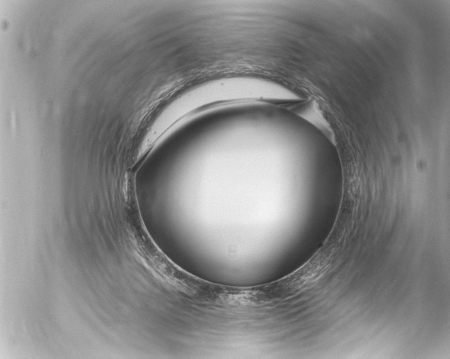 X0000054470072200508270140